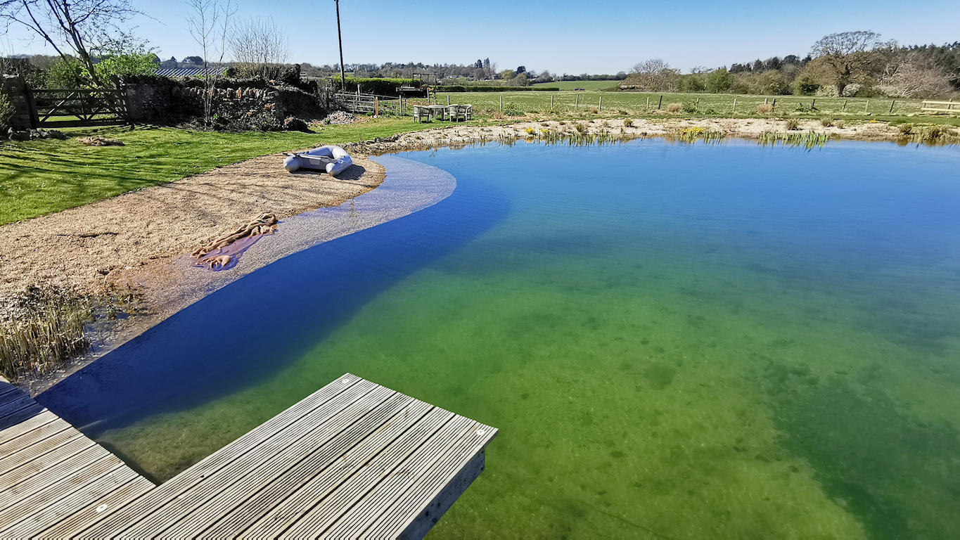 Natural Swimming pond in Failand Somerset by turtle swimming ponds