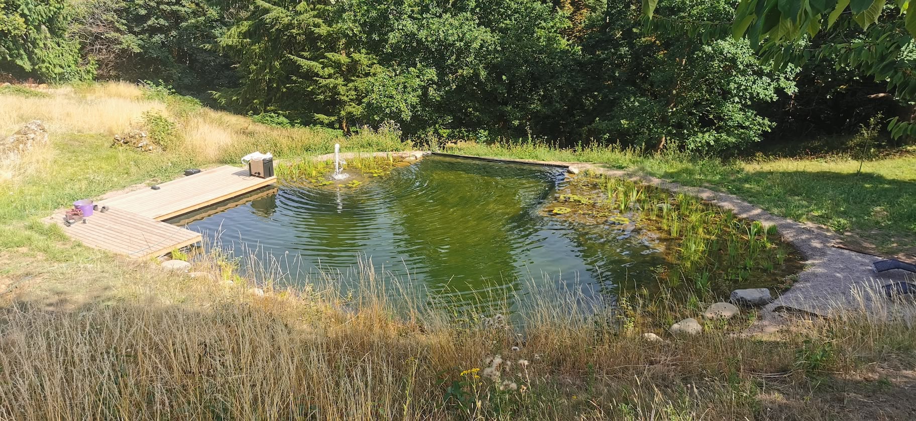 Swimming Pond Ross on wye