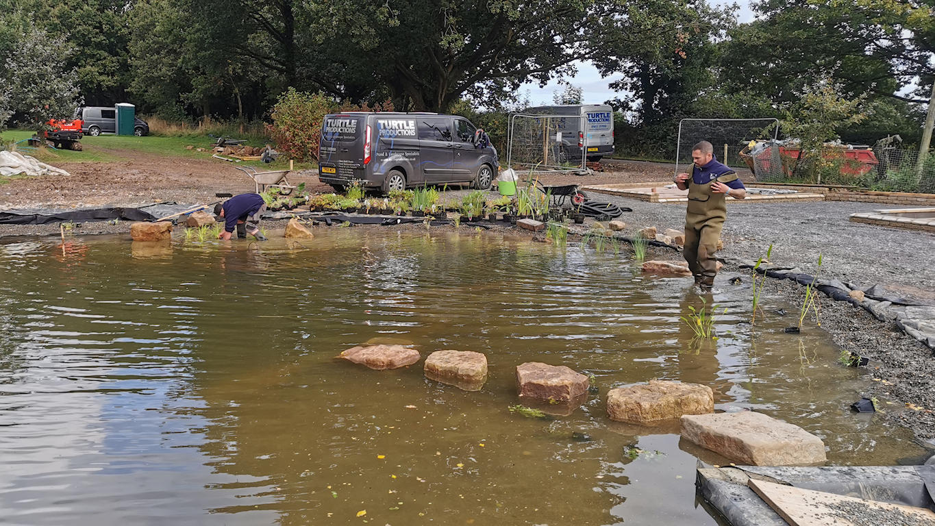 Natural Swimming Pond
