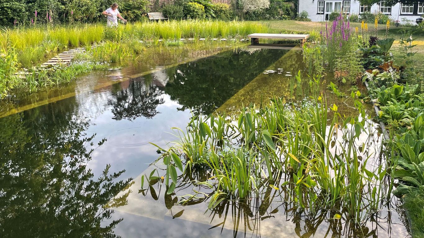 Natural Swimming Pond