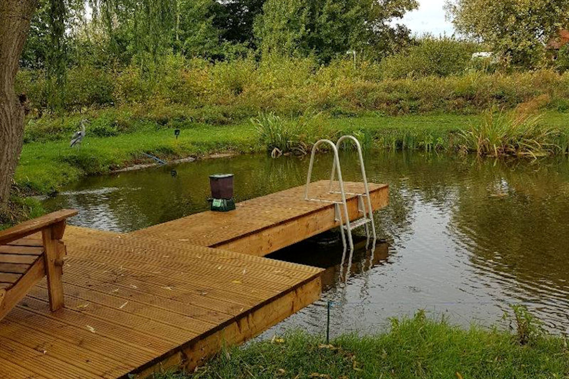 Natural eco swimming pond in a uk garden