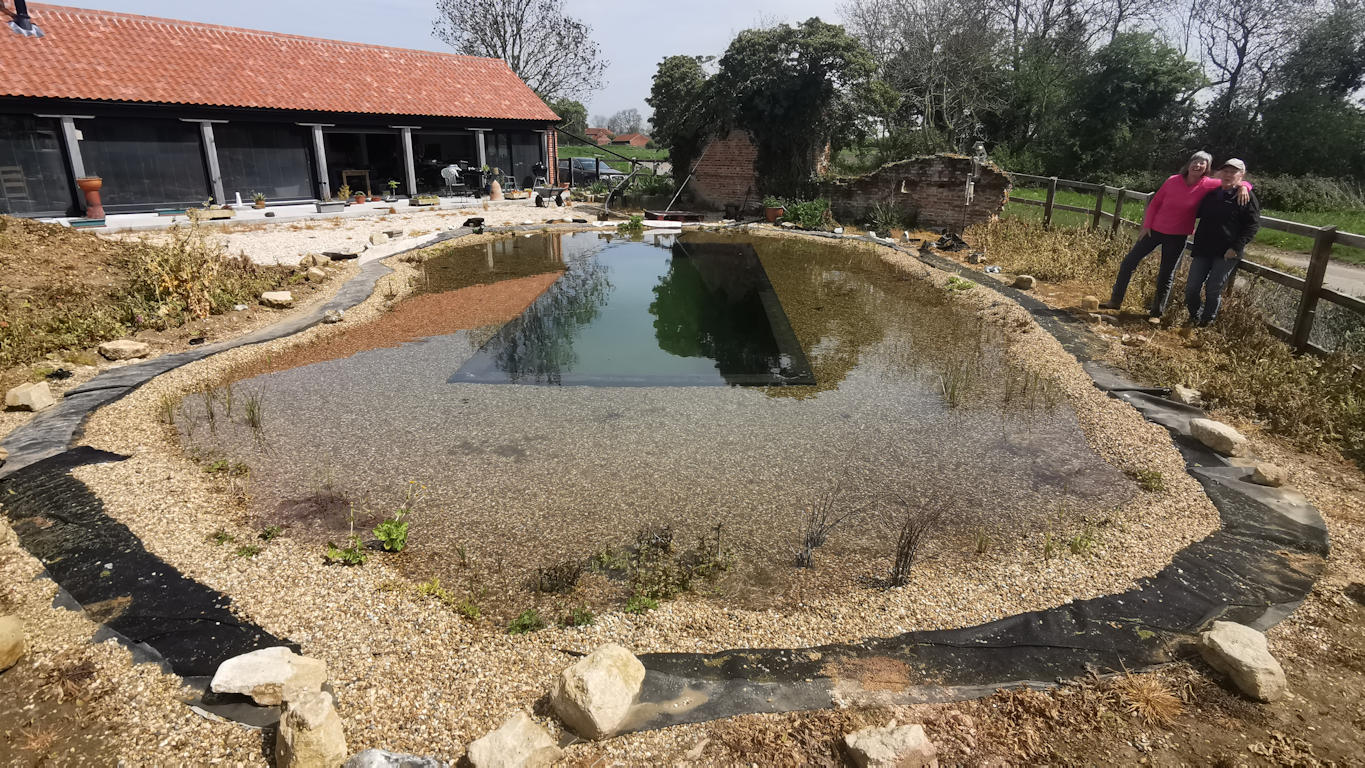 Eco-friendly plunge pool with natural stone and plant-based filtration
