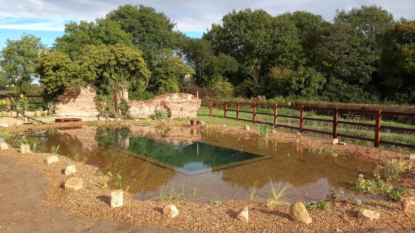Natural swimming Plung Pool in a UK garden