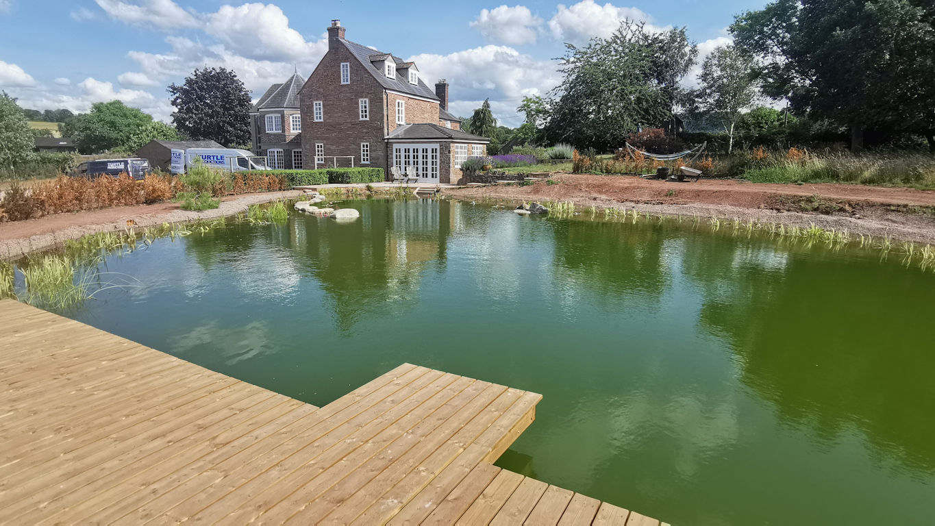 Natural Swimming pond in ross on wye made by Turtle Swimming Ponds