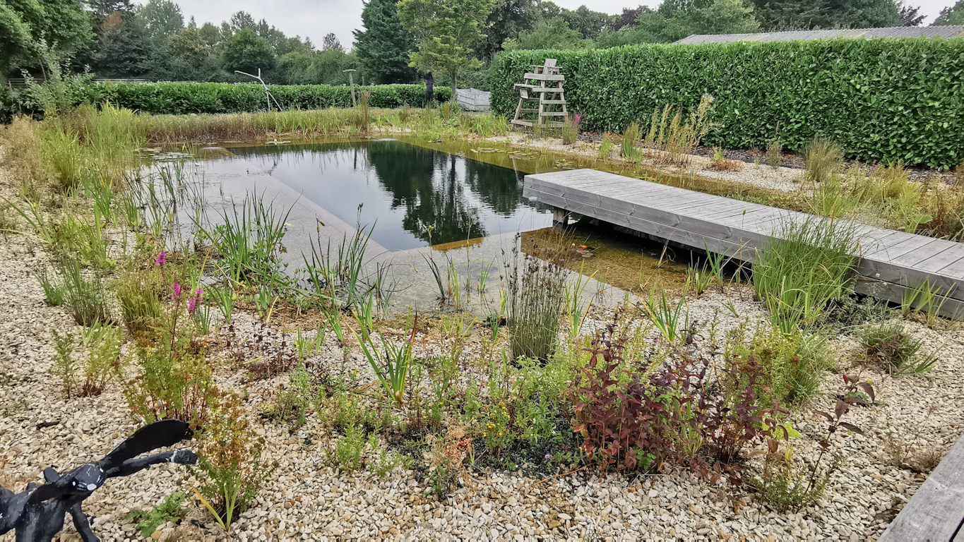Natural plunge pool installation in a UK garden by Turtle Swimming Ponds